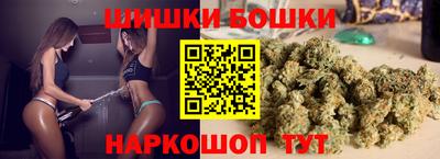 мдпв Камышлов