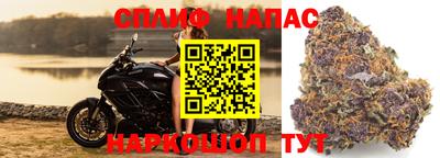 мдпв Камышлов